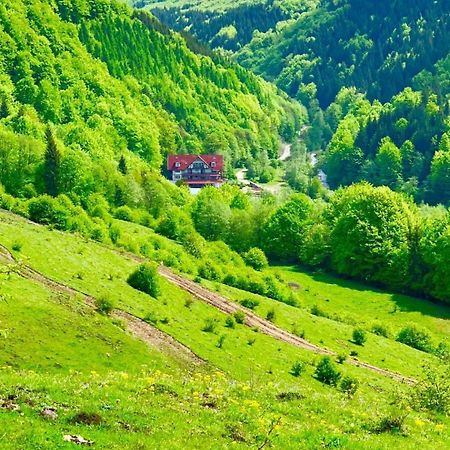Cabana Izvoarele Doftanei Traisteni Екстер'єр фото